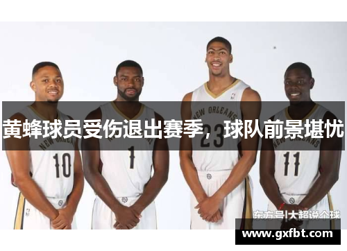黄蜂球员受伤退出赛季，球队前景堪忧